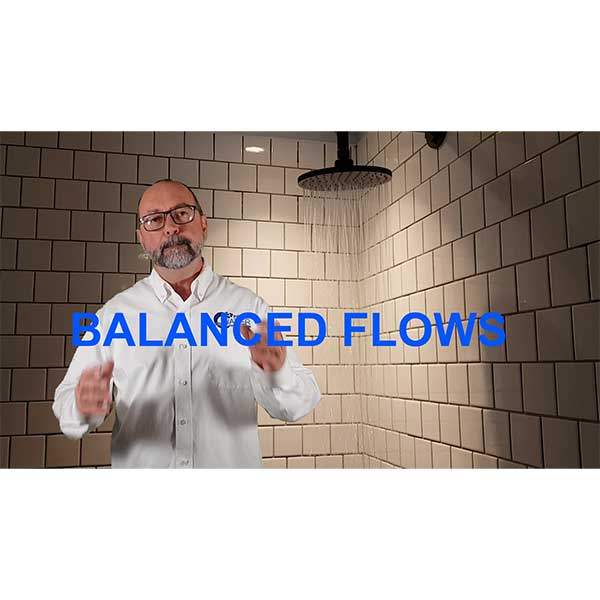 Balanced Flows